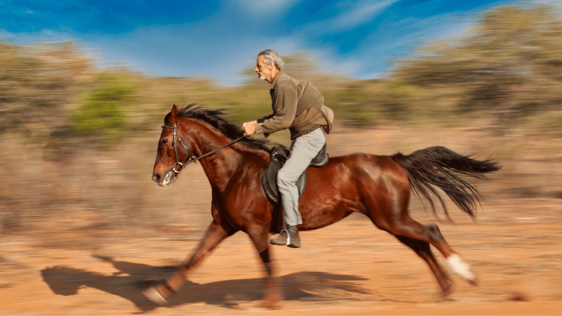 Best Treadmills for Runners Horse Power